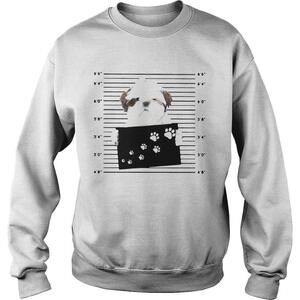 Shih Tzu Personal Stalker I Will Follow You Wherever You Go Sweatshirt